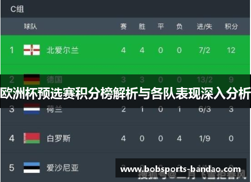 欧洲杯预选赛积分榜解析与各队表现深入分析