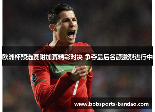 欧洲杯预选赛附加赛精彩对决 争夺最后名额激烈进行中