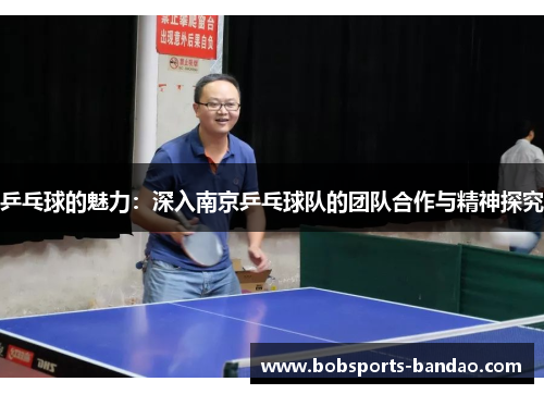 乒乓球的魅力：深入南京乒乓球队的团队合作与精神探究