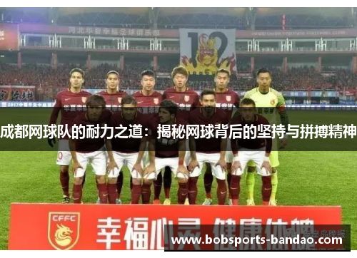 成都网球队的耐力之道：揭秘网球背后的坚持与拼搏精神